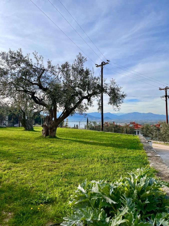 Ενtree Guest House Near Palamidi Castle Nauplion Zewnętrze zdjęcie